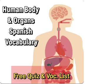 Human-body-Spanish-vocabulary