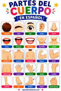 Spanish-body-vocabulary-list